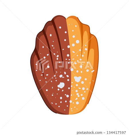 Madeleine cookie illustration with chocolate and classic flavors Madeleine cookie illustration with chocolate and classic flavors 134417597