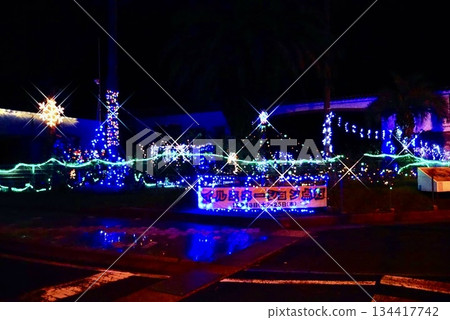 2025年聖誕燈飾 134417742