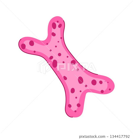 Lactobacilli bacteria cell representing human microbiome digestive health 134417792