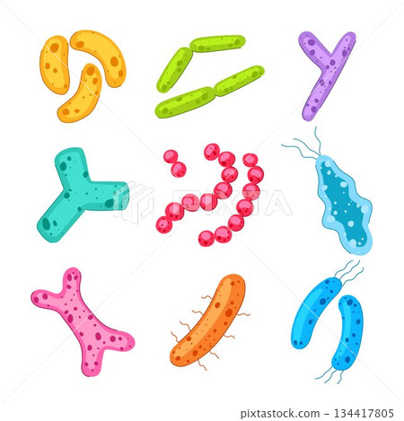 Diverse bacteria and microorganisms creating human microbiome illustration 134417805