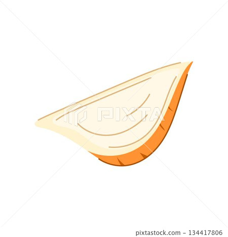 Jicama root slice single cross section illustration 134417806