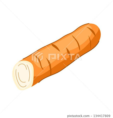 Jicama root vegetable showing raw texture 134417809