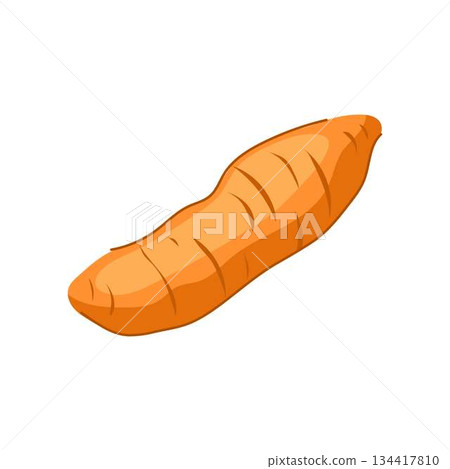 Jicama root vegetable isolated on white background 134417810