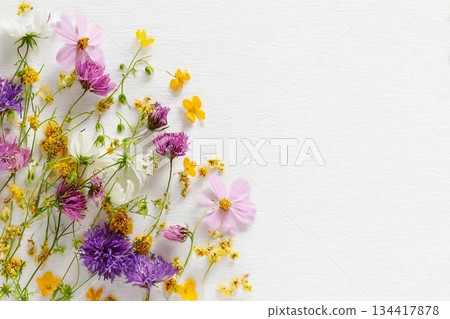 summer wild flowers on white paper backgroundsummer wild flowers on white paper background 134417878