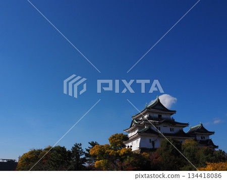 Autumn leaves of Wakayama Castle Park Autumn leaves of Wakayama Castle Park 134418086
