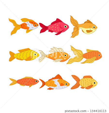 Goldfish species swimming cartoon vector illustration collection Goldfish species swimming cartoon vector illustration collection 134418113
