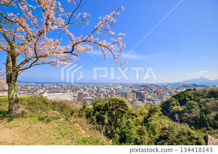 <鳥取縣> 四月，米子城遺址的櫻花春景 134418143