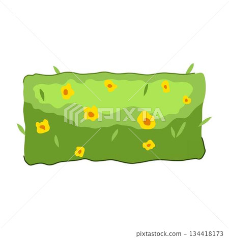 Green garden hedge with yellow flowers blooming Green garden hedge with yellow flowers blooming 134418173