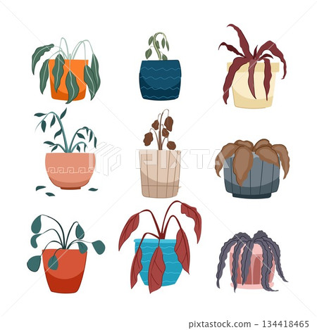Dying potted plants showing neglect and lack of care Dying potted plants showing neglect and lack of care 134418465