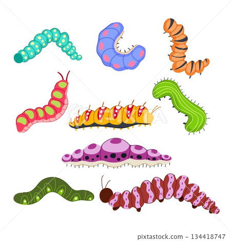 Colorful diverse caterpillars larva insects collection developing growth 134418747
