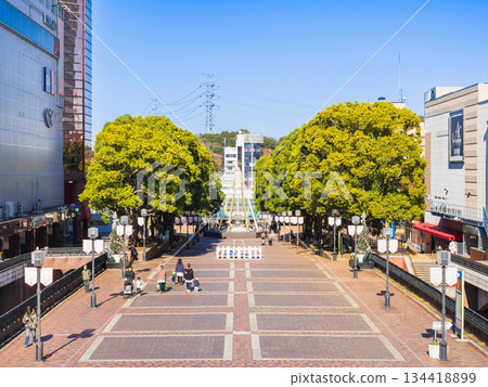 東京多摩中心 東京多摩中心 134418899