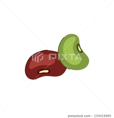 Red kidney bean and green mung bean illustration 134418995