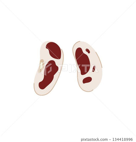 Pinto beans showing healthy food and ingredient illustration 134418996