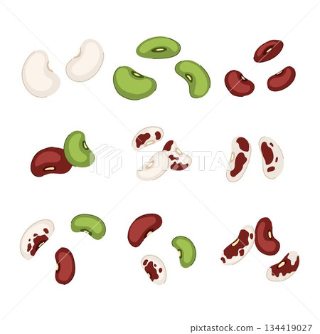 Bean seeds assortment offering healthy food ingredients Bean seeds assortment offering healthy food ingredients 134419027