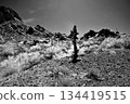 Black and White Sonoran Desert Arizona 134419515