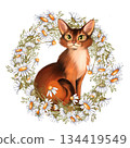 Hand-drawn Illustration of cute red cat sitting inside a wreath of white daisy flowers and green leaves. Design for spring greeting card, pet care decor or stationery 134419549