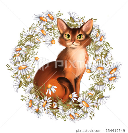 Hand-drawn Illustration of cute red cat sitting inside a wreath of white daisy flowers and green leaves. Design for spring greeting card, pet care decor or stationery Hand-drawn Illustration of cute red cat sitting inside a wreath of white daisy flowers and green leaves. Design for spring greeting card, pet care decor or stationery 134419549