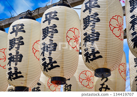 平野神社，京都著名的賞櫻勝地（京都府京都市北區） 134419707