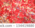 Autumn leaves at Kuhonbutsu Joshinji Temple 5 134419880