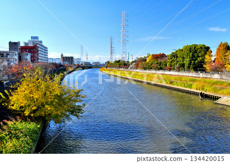 芝原橋 / 從新石川上游眺望（早瀨橋）（東京板橋區）[2025年11月] 134420015