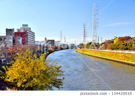 芝原橋 / 從新石川上游眺望（早瀨橋）（東京板橋區）[2025年11月] 134420016