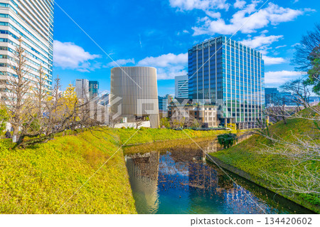 Tokyo cityscape in Japan. We must not forget that tragedy... View of Showakan in front of Kudanshita Station. Skytree... = 17th 134420602