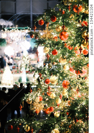 Christmas Image 134421104