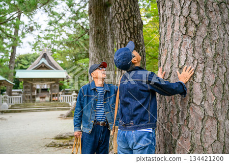An elderly man touches a giant tree at a shrine An elderly man touches a giant tree at a shrine 134421200