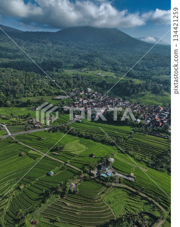 Aerial Perspective Revealing Traditional Balinese Farm Terraces Aerial Perspective Revealing Traditional Balinese Farm Terraces 134421259