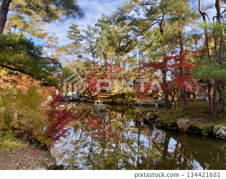 Autumn leaves at Hon-Miroku-den in Ayabe, Kyoto 134421681