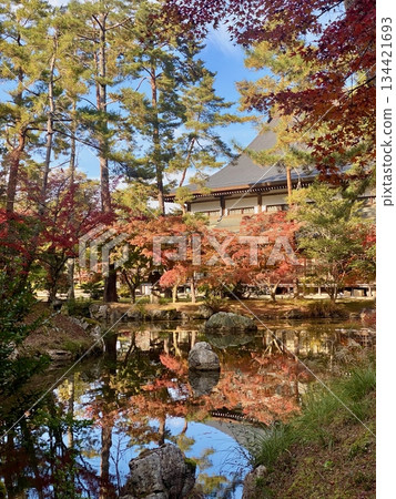 Autumn leaves at Hon-Miroku-den in Ayabe, Kyoto 134421693