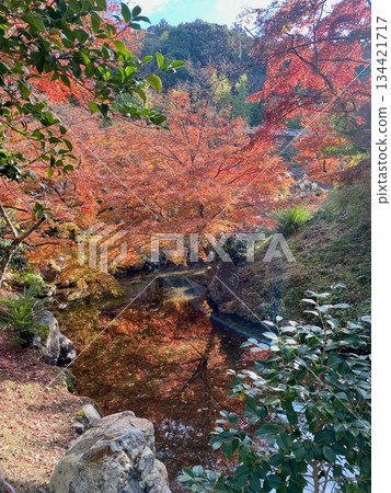 Autumn leaves at Hon-Miroku-den in Ayabe, Kyoto Autumn leaves at Hon-Miroku-den in Ayabe, Kyoto 134421717