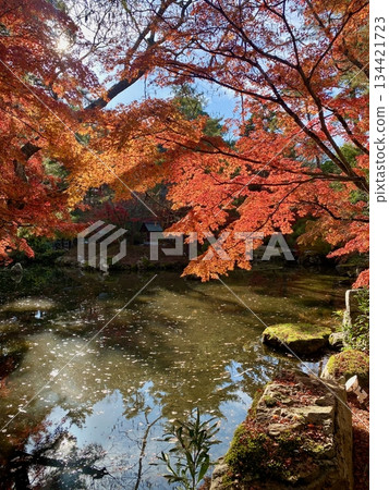 Autumn leaves at Hon-Miroku-den in Ayabe, Kyoto Autumn leaves at Hon-Miroku-den in Ayabe, Kyoto 134421723