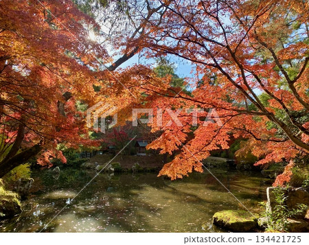 Autumn leaves at Hon-Miroku-den in Ayabe, Kyoto Autumn leaves at Hon-Miroku-den in Ayabe, Kyoto 134421725