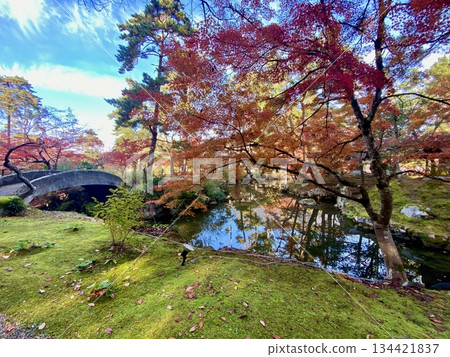 Autumn leaves at Hon-Miroku-den in Ayabe, Kyoto Autumn leaves at Hon-Miroku-den in Ayabe, Kyoto 134421837
