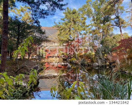 Autumn leaves at Hon-Miroku-den in Ayabe, Kyoto Autumn leaves at Hon-Miroku-den in Ayabe, Kyoto 134421842