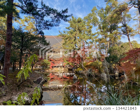京都綾部本彌勒殿的秋葉 134421843