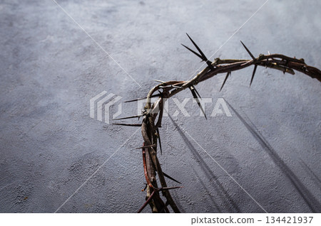 Crown of thorns casting a distinct shadow a white background, creating a symbolic easter image of suffering, sacrifice, and remembrance Copy good text friday for space 134421937