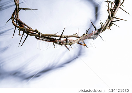 Crown of thorns casting a distinct shadow a white background, creating a symbolic easter image of suffering, sacrifice, and remembrance Copy good text friday for space Crown of thorns casting a distinct shadow a white background, creating a symbolic easter image of suffering, sacrifice, and remembrance Copy good text friday for space 134421980