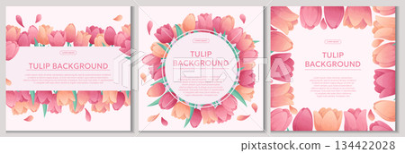 A set of colorful backgrounds with delicate tulips. The concept of a holiday, spring, women's day, Valentine's day. Vector illustration for the design of posters, flyers, postcards and invitations 134422028