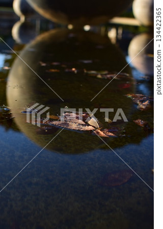 漂浮在水的下落的葉子 漂浮在水的下落的葉子 134422365