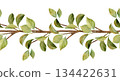 Hand-drawn illustration of a seamless horizontal border with elegant green leaves on a thin branch. This natural design is perfect for botanical themes, rustic invitations, and decorative elements 134422631