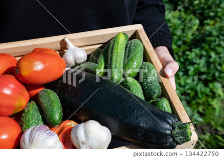 Freshly harvested vegetables including cucumbers, tomatoes, and garlic in a wooden crate surrounded by grass in a garden setting Freshly harvested vegetables including cucumbers, tomatoes, and garlic in a wooden crate surrounded by grass in a garden setting 134422750