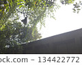 shadow of a building 134422772
