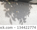 leaves in the snow 134422774