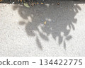soil in the garden 134422775