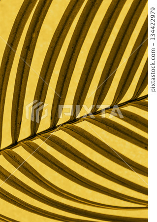 Yellow tropical palm leaf with strong linear shadows creating bold contrast on vibrant background. Trendy deep golden, amber yellow color. Autumn, sunshine, exotic nature, minimal tropical design Yellow tropical palm leaf with strong linear shadows creating bold contrast on vibrant background. Trendy deep golden, amber yellow color. Autumn, sunshine, exotic nature, minimal tropical design 134422979