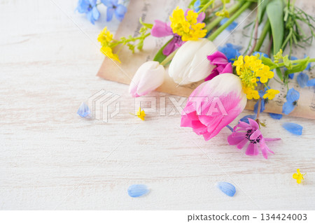 Background of spring flowers such as tulips and rape blossoms Background of spring flowers such as tulips and rape blossoms 134424003