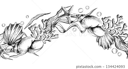 Marine life frame featuring seashell, starfish, and coral line art. Underwater world illustration for graphic design or a coloring book. Seamless border pattern outline hand drawn Marine life frame featuring seashell, starfish, and coral line art. Underwater world illustration for graphic design or a coloring book. Seamless border pattern outline hand drawn 134424093