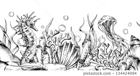Underwater seascape with seahorse, jellyfish, shells and coral. Hand drawn line art illustration of marine life for nautical design. Seamless border pattern outline graphic illustration 134424094